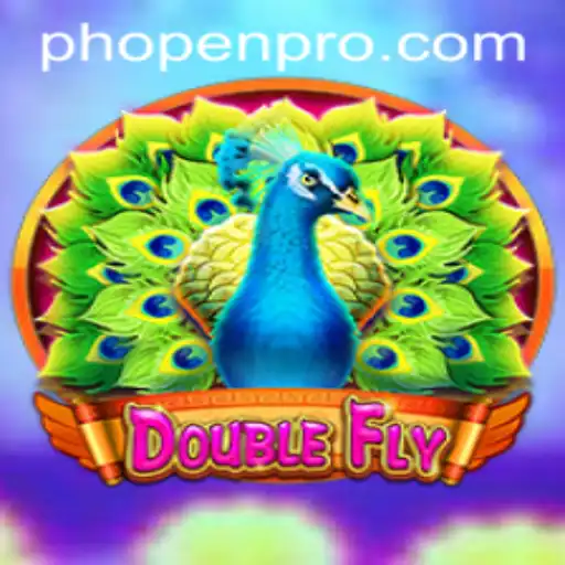 Exploring DoubleFly: A Comprehensive Introduction and Guide